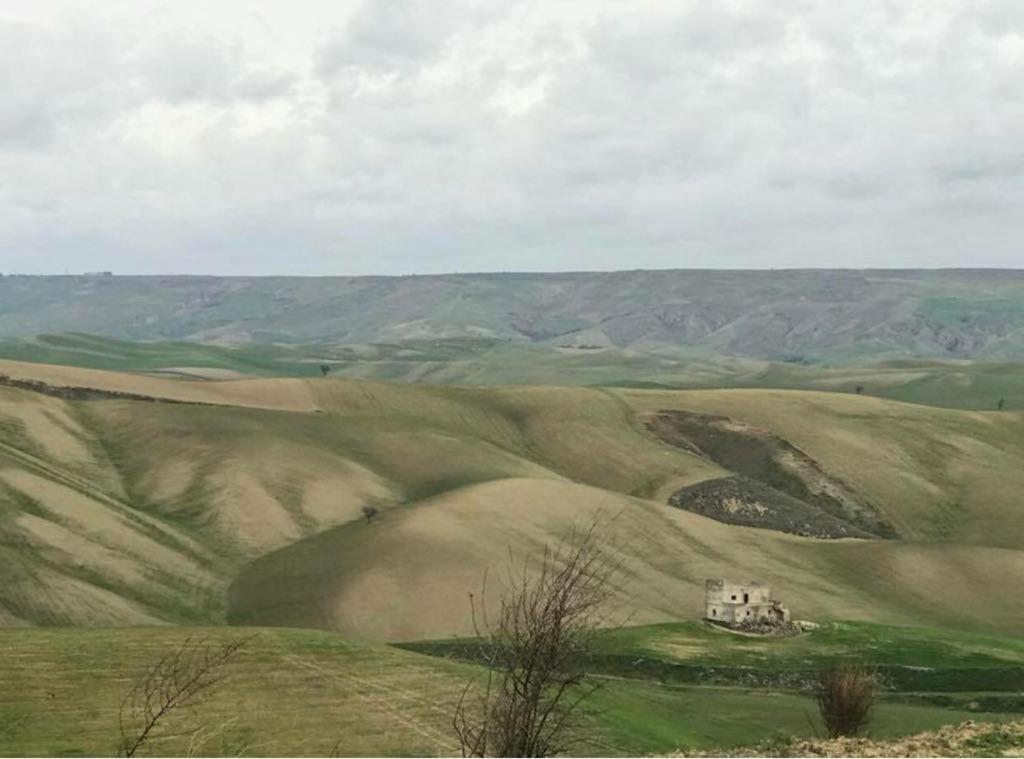 B&B Mantegna Irsina Mt Luaran gambar